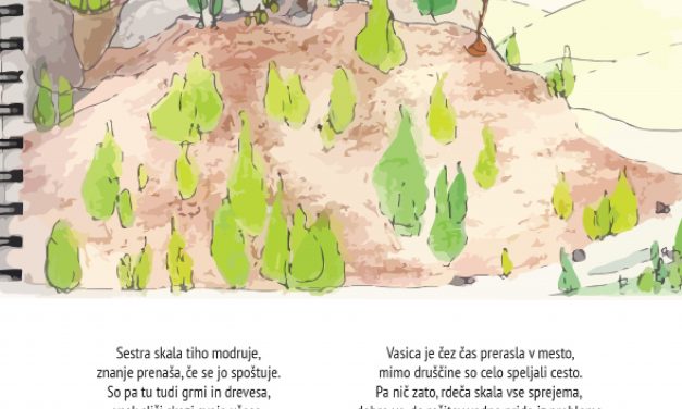O RDEČI SKALI IN NJENI PTICI